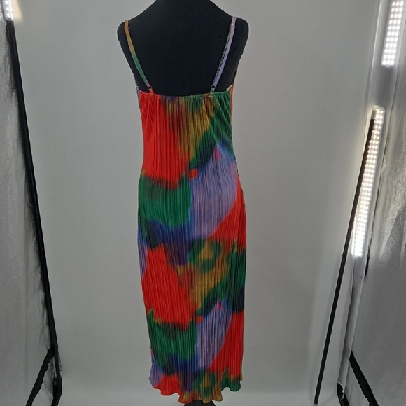 Colorful Pleated Maxi Dress - Picture 11 of 16